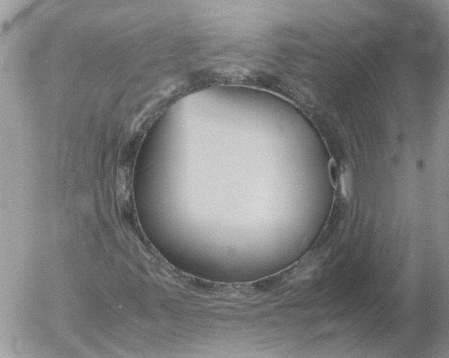 X0000053071347200508011929