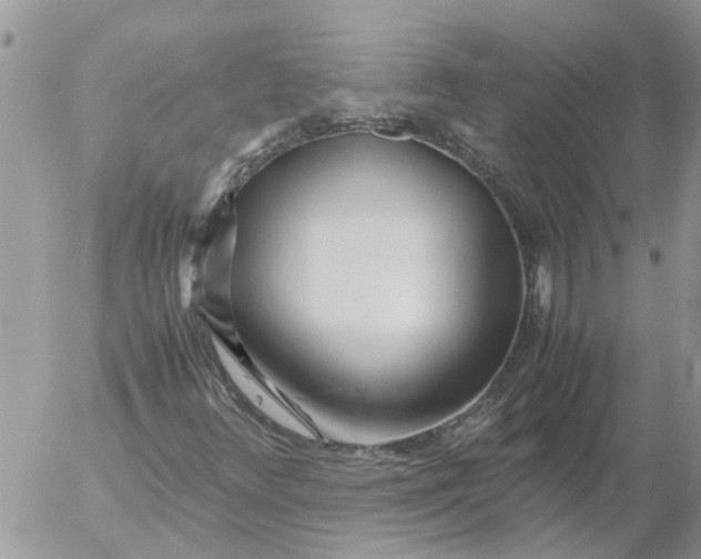 X0000053071348200508011929