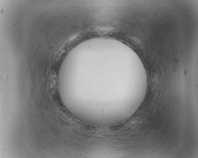 X0000053071349200508011929