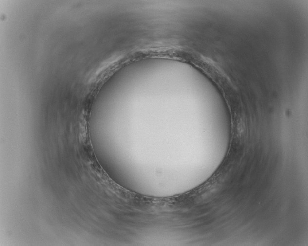 X0000053071350200508011929