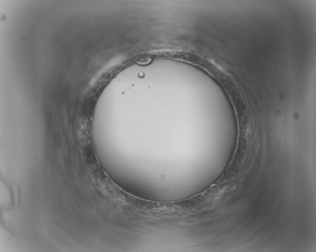 X0000053071351200508011929