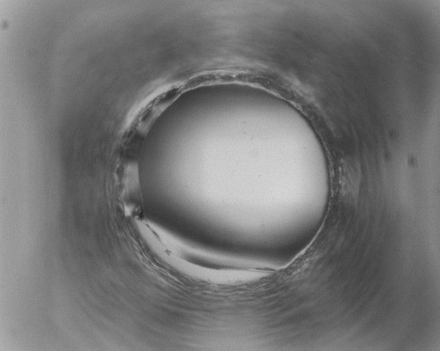 X0000053071352200508011929