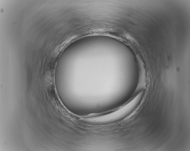 X0000053071353200508011929