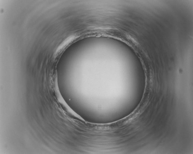 X0000053071354200508011929