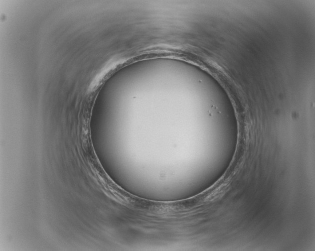 X0000053071355200508011929