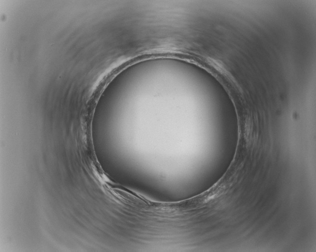 X0000053071356200508011929