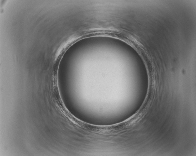 X0000053071357200508011929