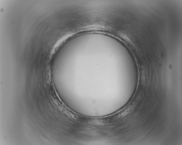 X0000053071358200508011929