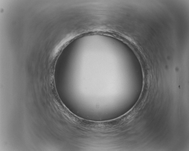 X0000053071359200508011929