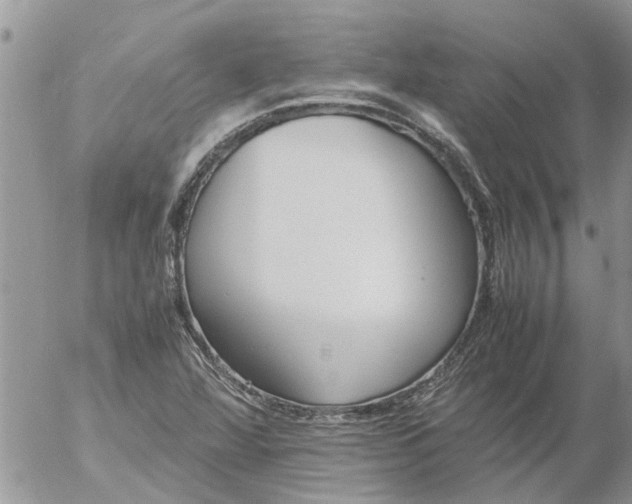 X0000053071360200508011929