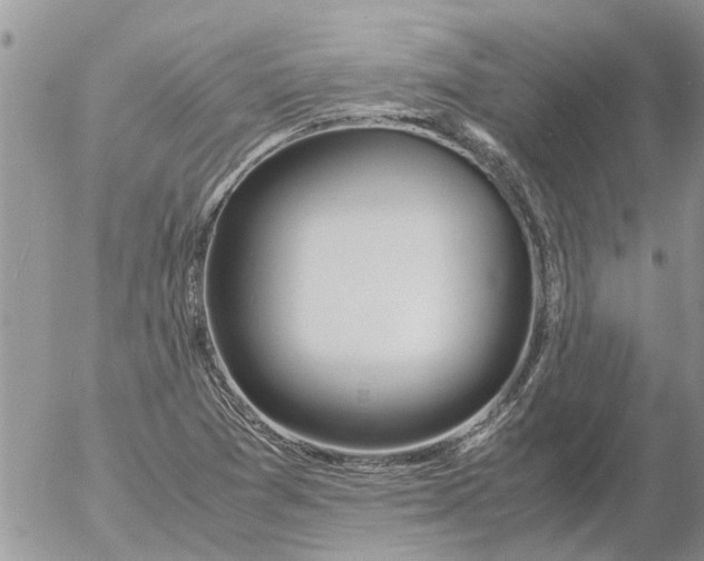 X0000053071361200508011929