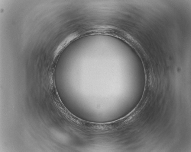 X0000053071362200508011929