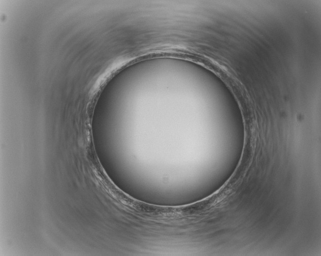 X0000053071363200508011929