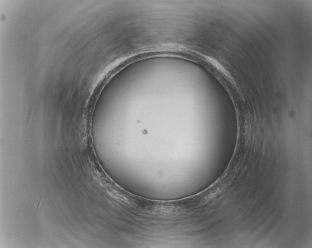 X0000053071364200508011929