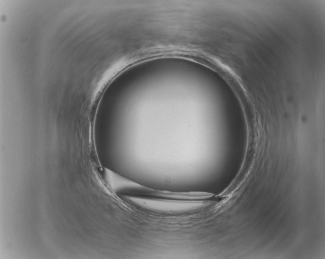 X0000053071365200508011929