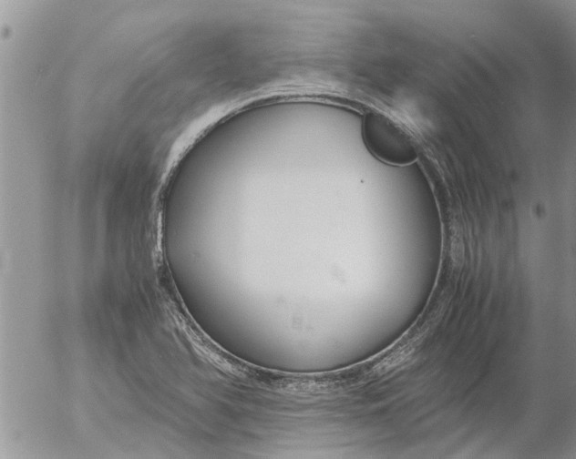 X0000053071366200508011929