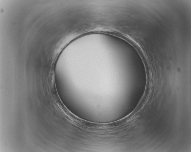 X0000053071367200508011929