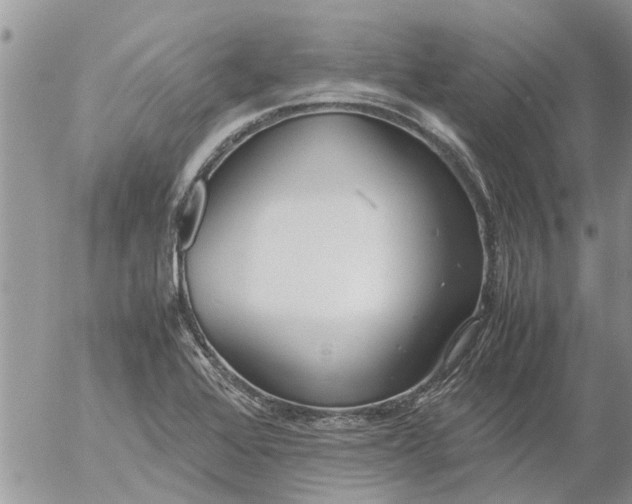 X0000053071368200508011929