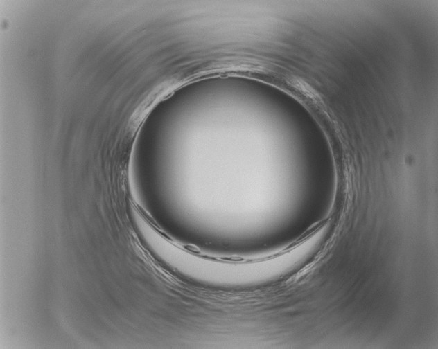 X0000053071369200508011929