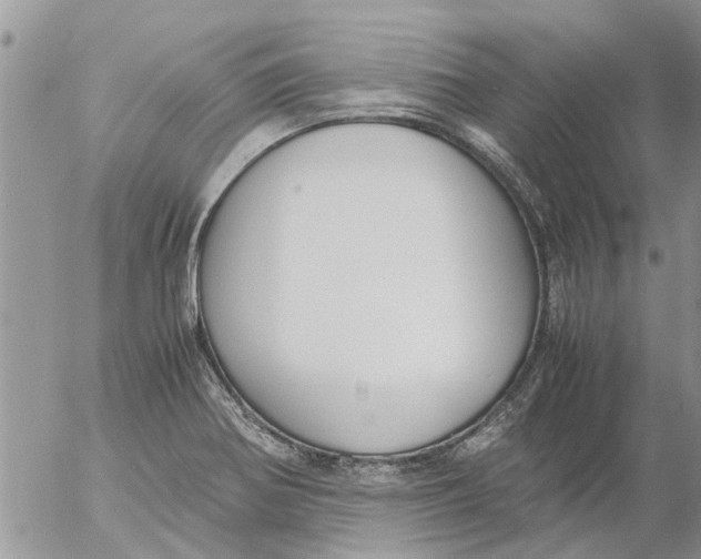 X0000053071370200508011929