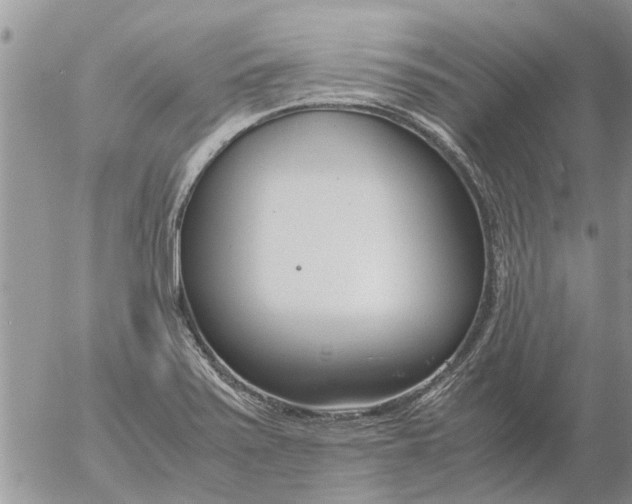 X0000053071371200508011929