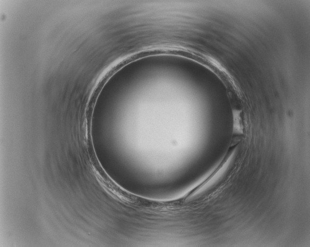 X0000053071372200508011929