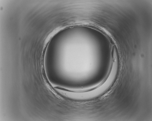 X0000053071373200508011929