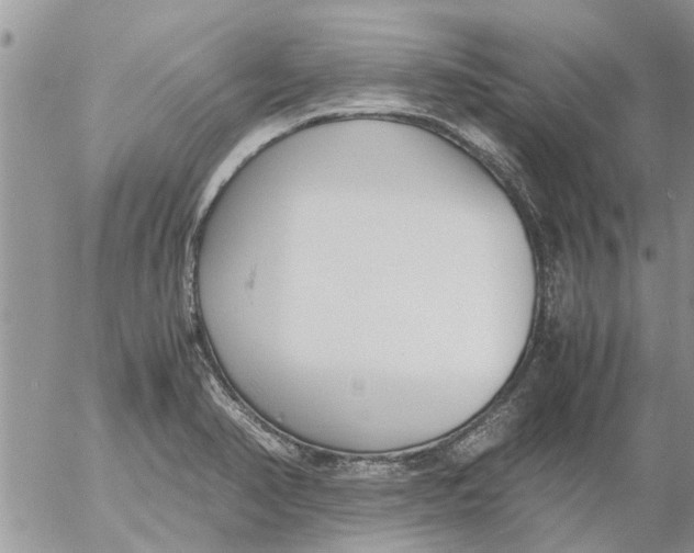 X0000053071374200508011929