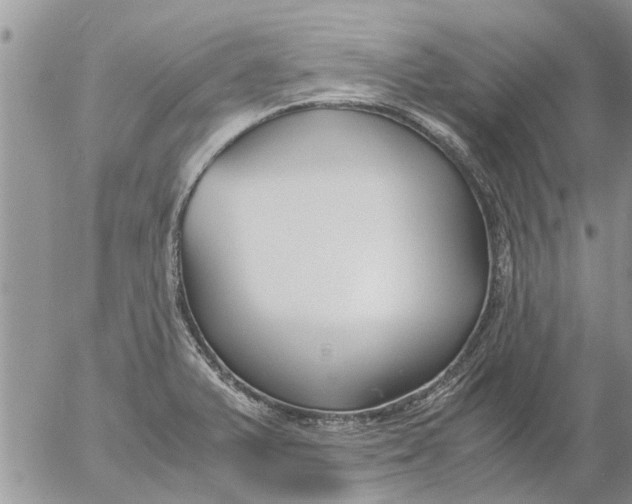 X0000053071375200508011929