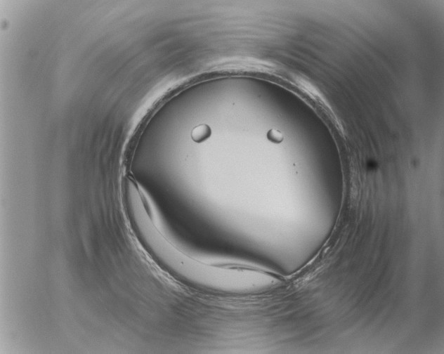 X0000053071376200508011929