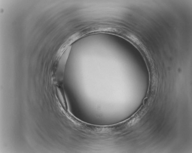 X0000053071377200508011929