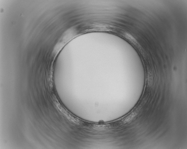 X0000053071378200508011929