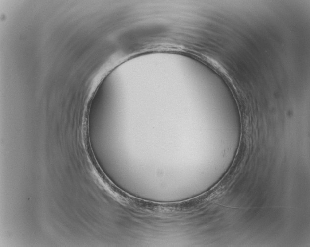 X0000053071379200508011929