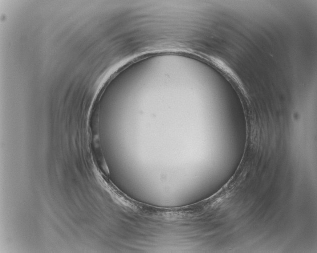 X0000053071380200508011929