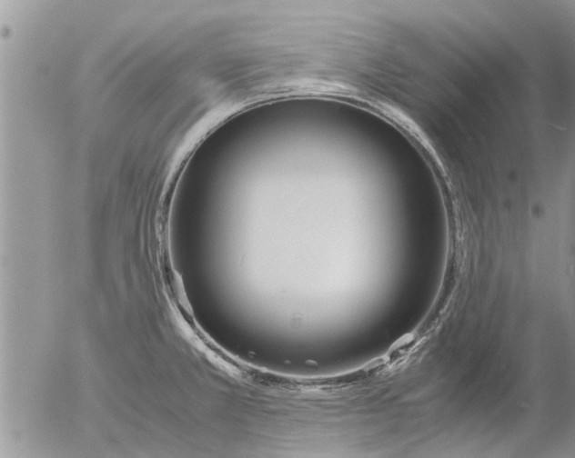 X0000053071381200508011929