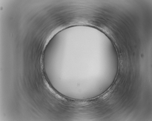 X0000053071382200508011929