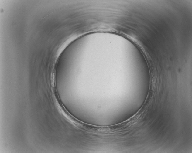 X0000053071383200508011929