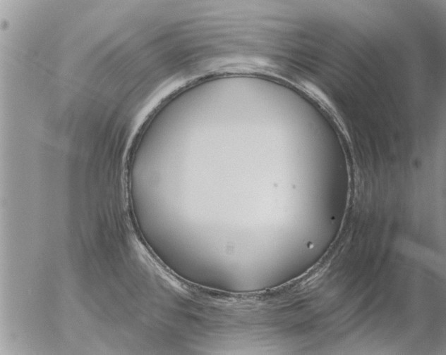 X0000053071384200508011929