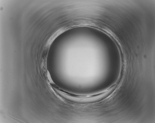 X0000053071385200508011929