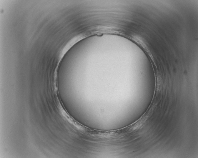 X0000053071386200508011929