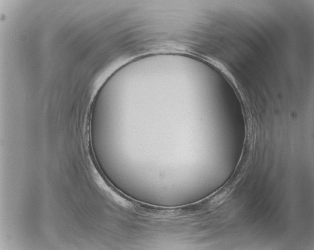 X0000053071387200508011929