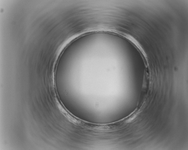 X0000053071388200508011929