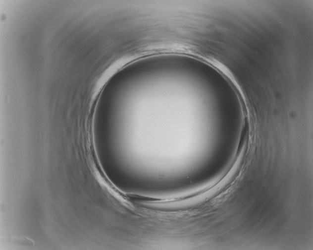 X0000053071389200508011929