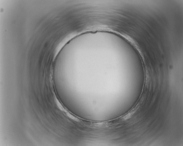 X0000053071390200508011929