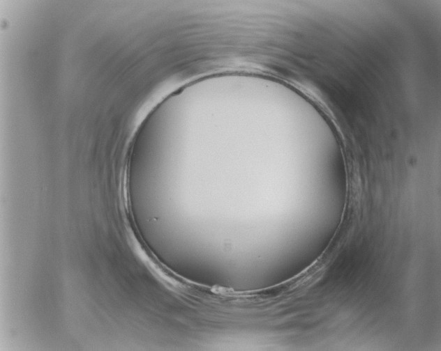 X0000053071391200508011929