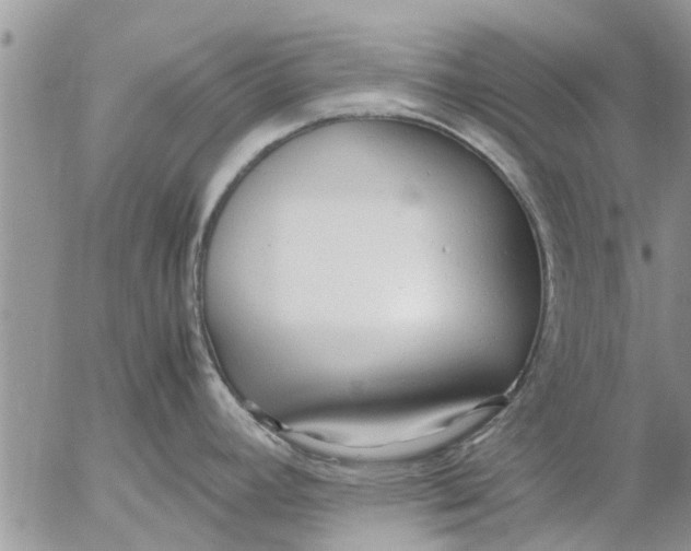 X0000053071392200508011928