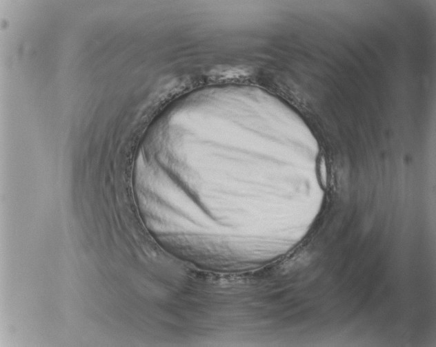 X0000053071393200508011928