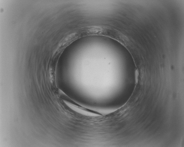 X0000053071394200508011928