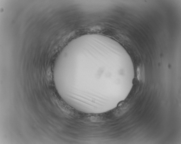 X0000053071395200508011928