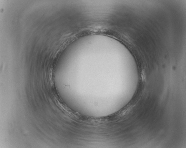 X0000053071396200508011928